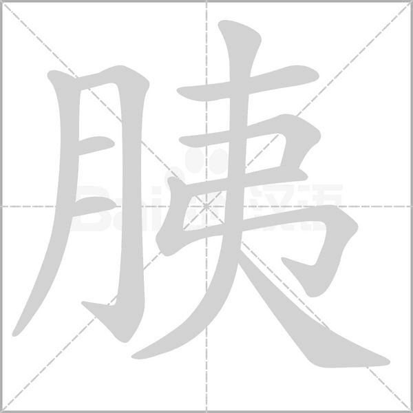 胰念什么字