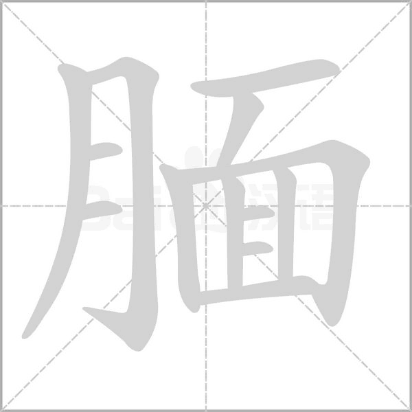 腼念什么字