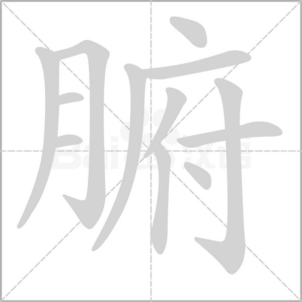 腑念什么字