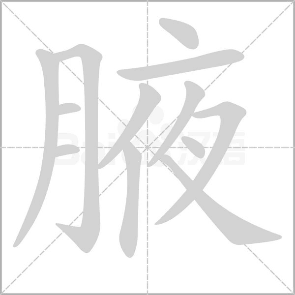 腋念什么字