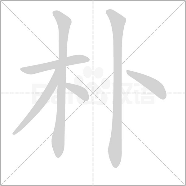 朴念什么字