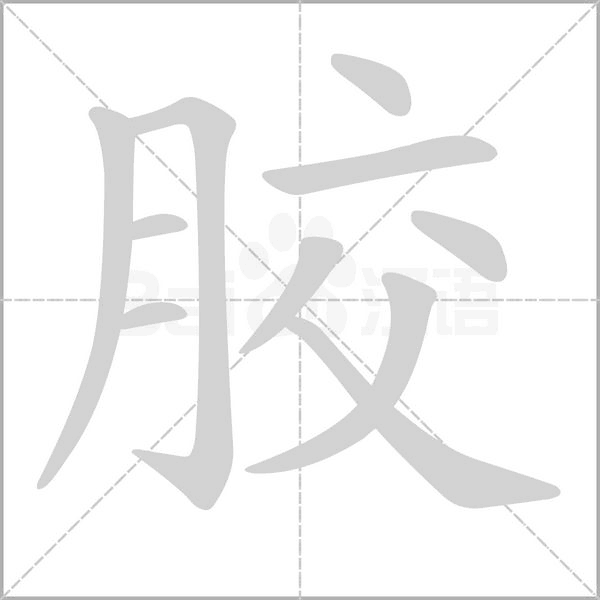 胶念什么字