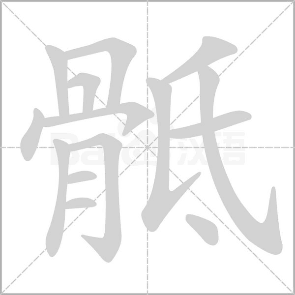 骶念什么字