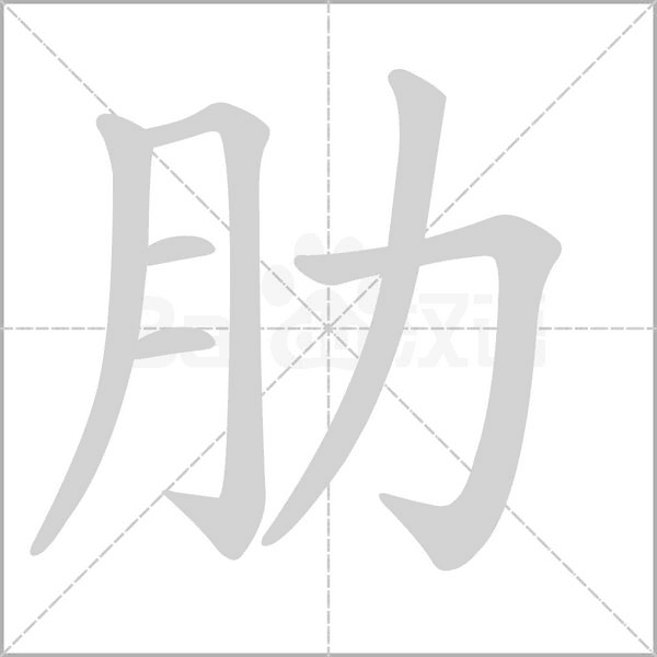 肋念什么字