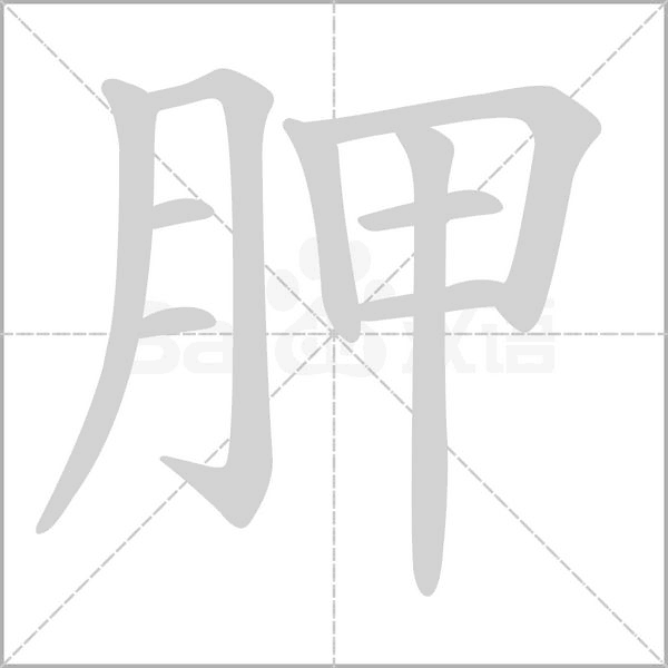 胛念什么字