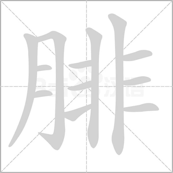 腓念什么字
