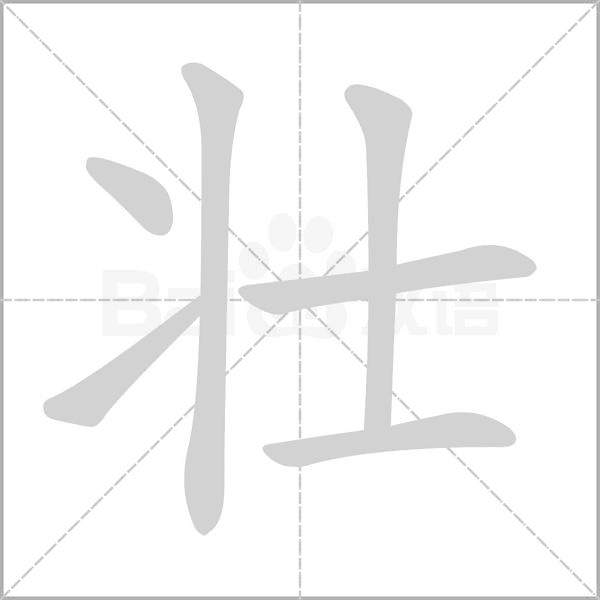 壮念什么字