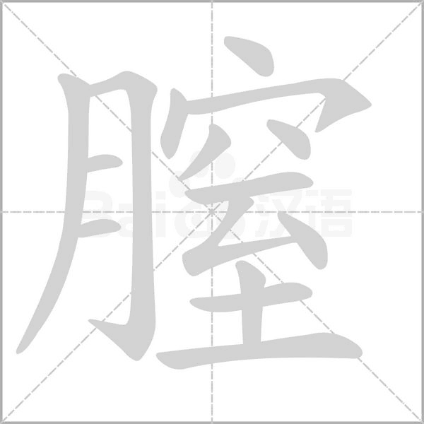 膣念什么字