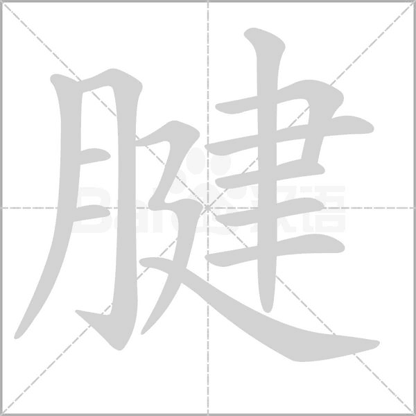 腱念什么字