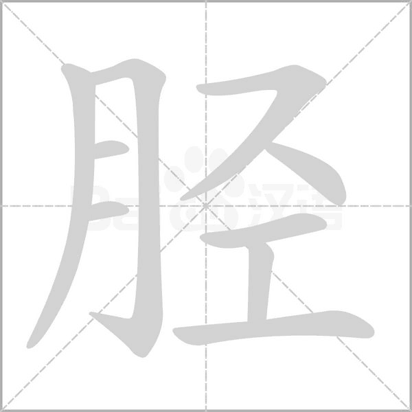 胫念什么字
