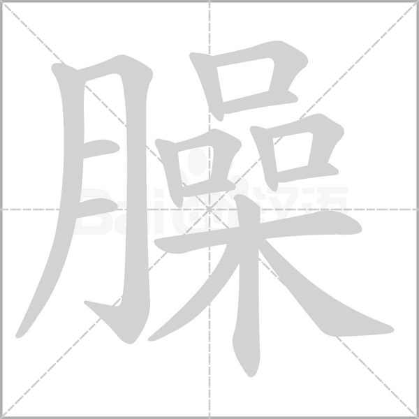 臊念什么字