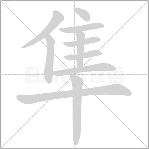 隼念什么字