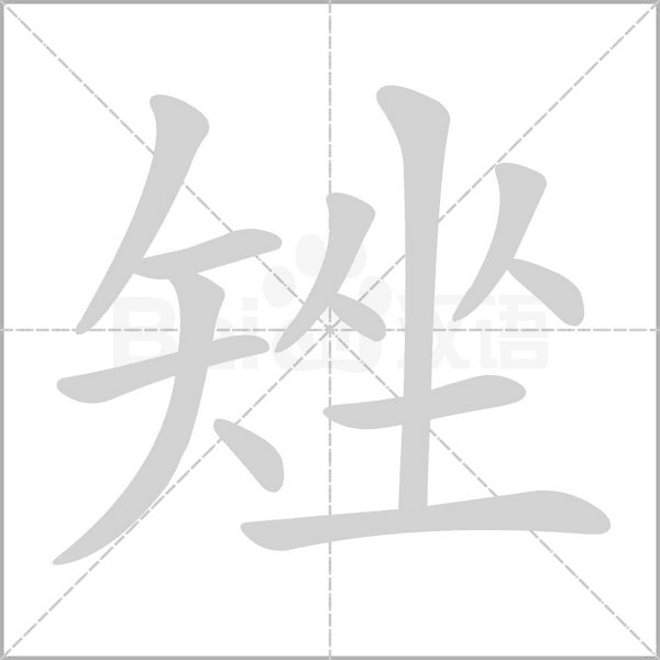 矬念什么字