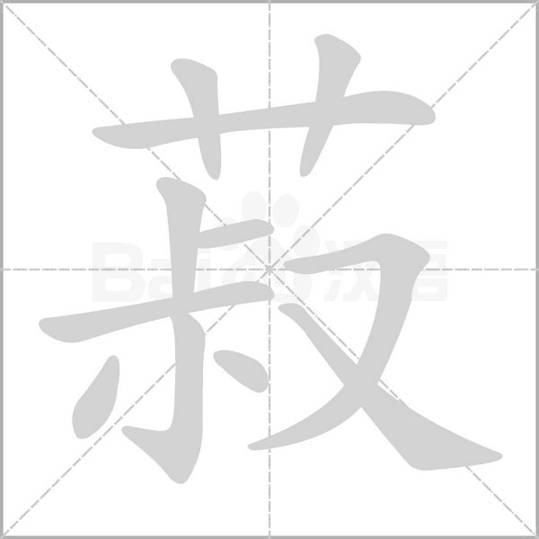 菽念什么字