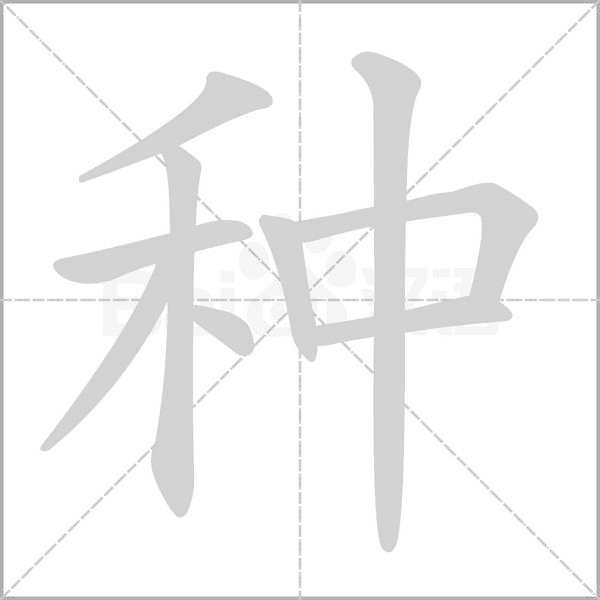 种念什么字