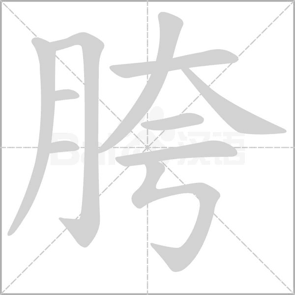 胯念什么字