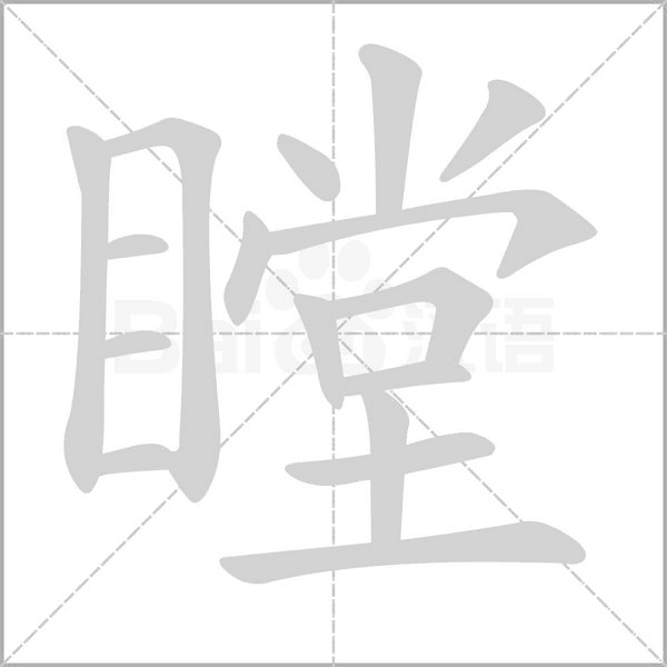 瞠念什么字