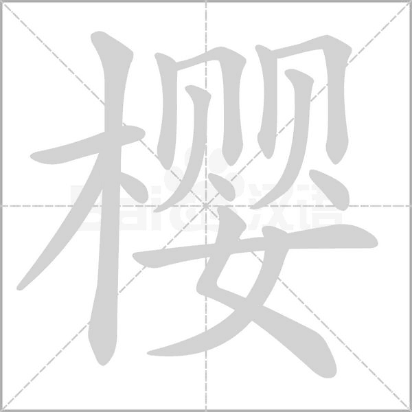 樱念什么字