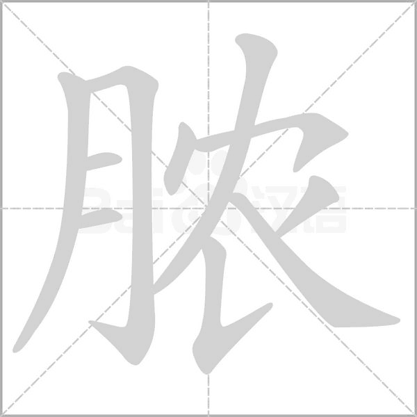 脓念什么字
