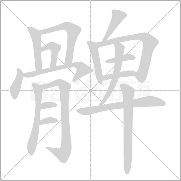 髀念什么字