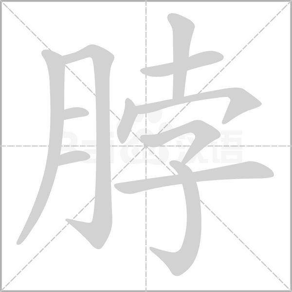 脖念什么字