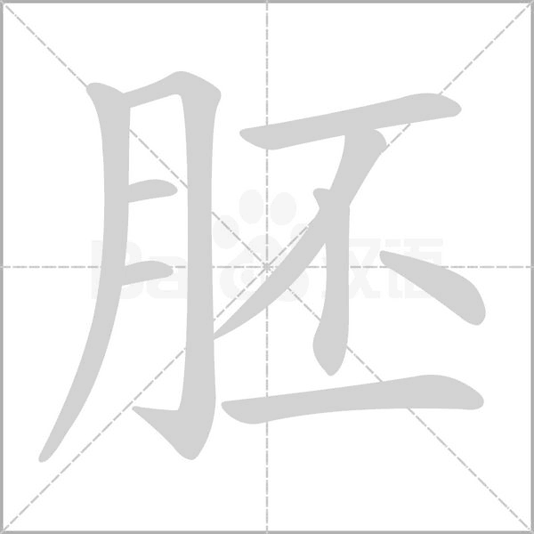 胚念什么字