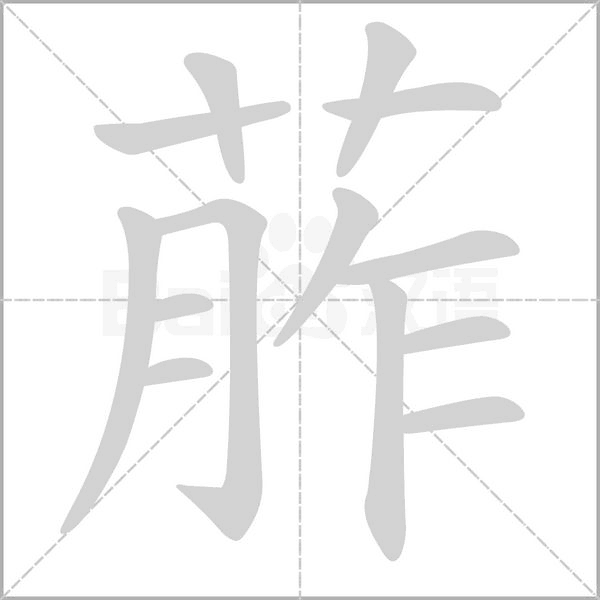葄念什么字