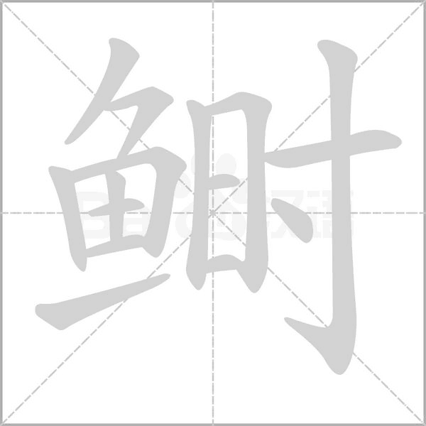 鲥念什么字