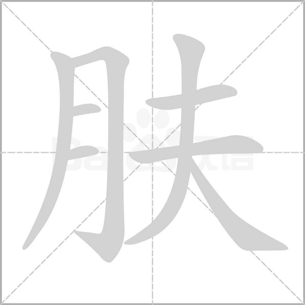 肤念什么字
