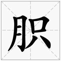 胑念什么字