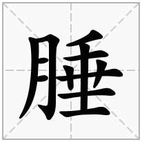 腄念什么字