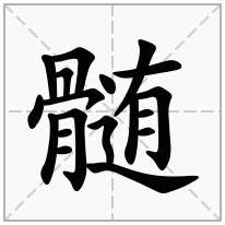 髄念什么字