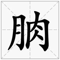 朒念什么字