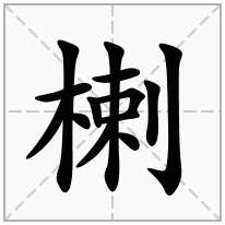 楋念什么字