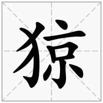 猄念什么字