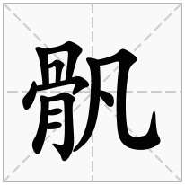 骪念什么字