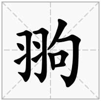 翑念什么字