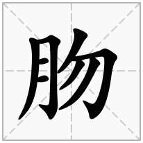 肳念什么字