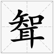 聟念什么字