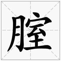 腟念什么字