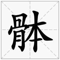 骵念什么字