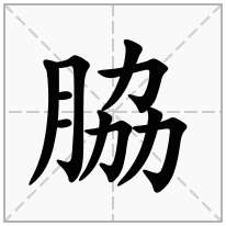 脇念什么字