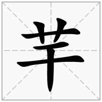 芉念什么字