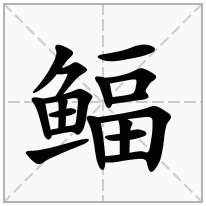 鲾念什么字