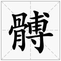 髆念什么字