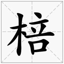 棓念什么字