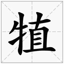 犆念什么字