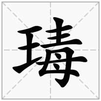 瑇念什么字